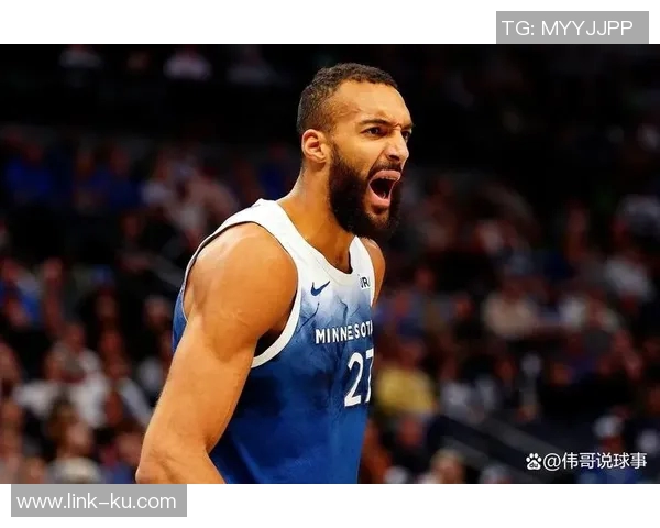 森林狼缺少戈贝尔篮下防守漏洞显著兰德尔护筐能力待提升